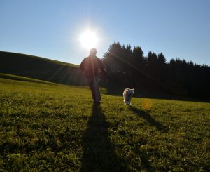 Oberammergau Urlaub mit Hund